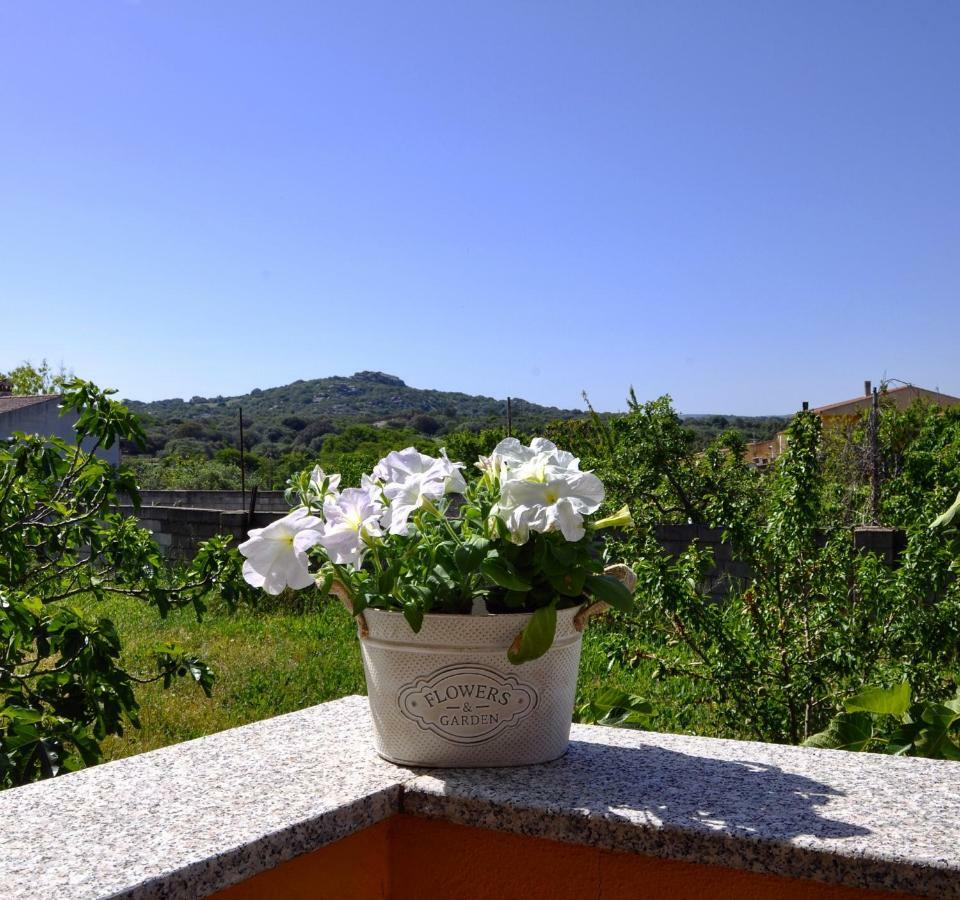 Casa Duminicheddha, Mare E Relax In Gallura Bassacutena Экстерьер фото