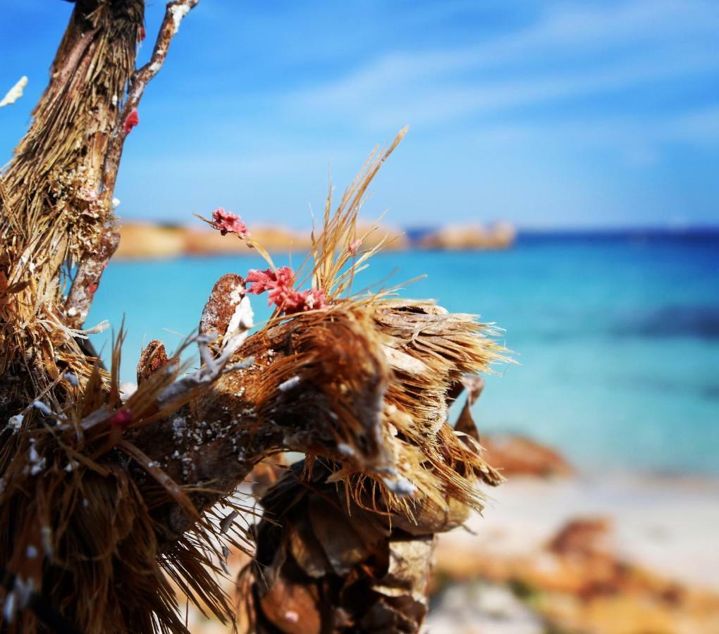 Casa Duminicheddha, Mare E Relax In Gallura Bassacutena Экстерьер фото